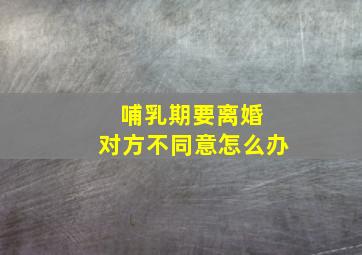 哺乳期要离婚 对方不同意怎么办